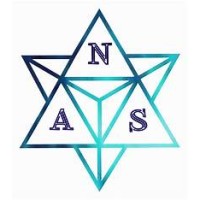 Nas Tech Consultancy logo - Similar company to Ava
