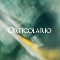 Orticolario logo - Similar company to Bambuseto