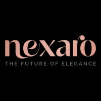 Nexaro logo - Similar company to Nexaro