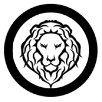 Lion International Consulting Ltd logo - Similar company to Echo Advisory
