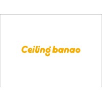Ceiling Banao logo - Similar company to Diamond Frames