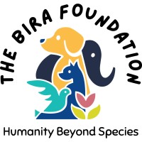 Bira Foundation logo - Similar company to The Elysian