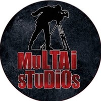 Multai Studios logo - Similar company to Seo Tacticz