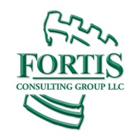 Fortis Consulting Group logo - Similar company to Git-N-Go Convenience Store