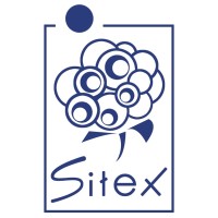 SITEX - Industrial Company of Textiles logo - Similar company to Total Testing Service