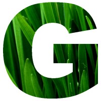Groundleader Ltd logo - Similar company to Nb Communication