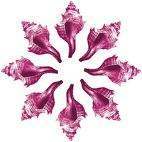 DFS plus logo - Similar company to Ck Land A/S
