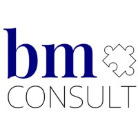 bmconsult logo - Similar company to Bmconsulting