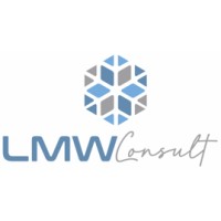 LMW Consult logo - Similar company to Dínamo - Brazilian Startup Advocacy Group