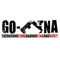 Go-Etna logo - Similar company to J.A.V. Language Solutions Llc