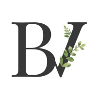 Belavine logo - Similar company to Meko Studio