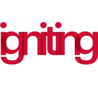Igniting People, Teams, Business logo - Similar company to Base Ag.