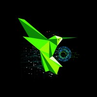 Codibri Ltd logo - Similar company to Clocky App