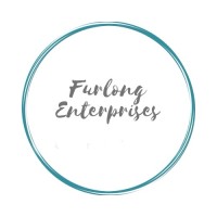 FURLONG ENTERPRISES logo - Similar company to Lean Excellence Canada