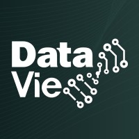 DataVie logo - Similar company to Dataview.In