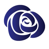 Blue Rose Capital Advisors logo - Similar company to Hedgestar