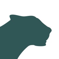 RAWCAT Media logo - Similar company to Mediaanen