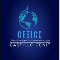 Consultora en Seguridad Integral Castillo Cenit logo - Similar company to Avivate