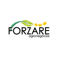 Forzare Agronegócios logo - Similar company to Wirstchat