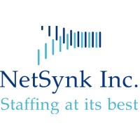 Netsynk Inc logo - Similar company to Xpert Tech