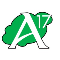 A17 Consultoria