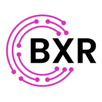 Boutique XR logo - Similar company to 4D Fun Inc