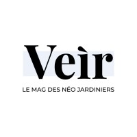 Veìr Magazine logo - Similar company to Ajoa
