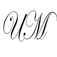 UNITY/MODULE* logo - Similar company to New Isles
