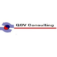 QSV Consulting logo - Similar company to Laccei