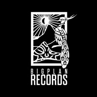 Big Plan Records logo - Similar company to Black Pixel