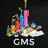 GrowMore Services logo - Similar company to Softareo Pvt Ltd