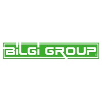 Bilgi Group logo - Similar company to Dizayntek Teknik Hırdavat Kalıp Elemanları San. Ve Tic. Ltd. Şti.