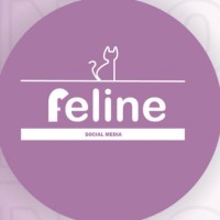 Feline Social Media logo - Similar company to Cyber Aliens