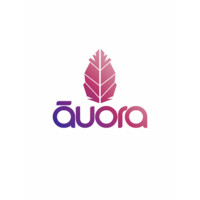 āuora logo - Similar company to Auora