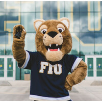 FIU Higher Education Administration Program logo - Similar company to The Collegiate Black Male Network