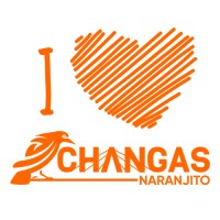 Changas de Naranjito Volleyball Club logo - Similar company to Bcmg