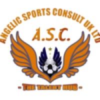 Angelic Sports Consult logo - Similar company to Adomonline