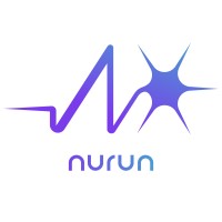 nurun Academy logo - Similar company to Maghzafzar