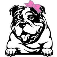 Big Bully Turf logo - Similar company to Eheat