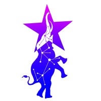 Skypeople Telecom logo - Similar company to Smart Tech