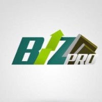 Biz-Pro Accounting Solutions Pvt LTD logo - Similar company to S S Borkar & Associates