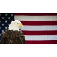 Eagle Boring LLc logo - Similar company to Pdp Tech