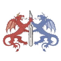 Welsh National Surgical Conference logo - Similar company to Cardiff Muslim Medics