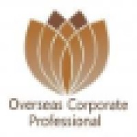Overseas Corporate Professional logo - Similar company to Double Slash Web Design