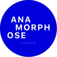 Anamorphose Studio logo - Similar company to Studio 882