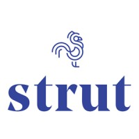 Strut Health logo - Similar company to Shapiromd ~ Hair Growth Experts