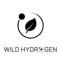 Wild Hydrogen logo - Similar company to Latent Drive