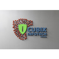 iCubiX InfoTech Pvt Ltd logo - Similar company to Vacuity Private Limited