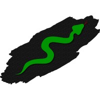 Little Green Viper Software Development Llc