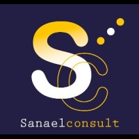 Sanael Consult logo - Similar company to Ozapay